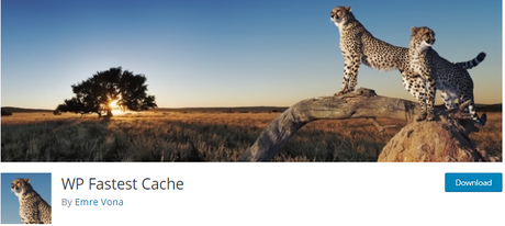 caching plugins