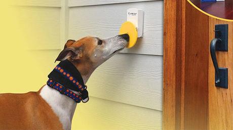 Install a doggie doorbell your dog really uses for just $23