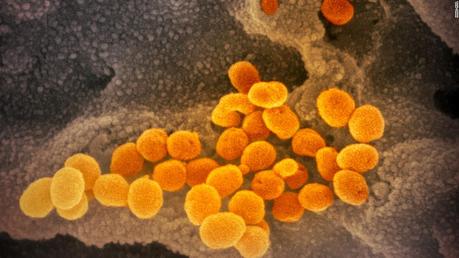Report details failures and lessons from coronavirus pandemic response