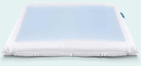 Leesa Hybrid & Premium Pillow Review 2020