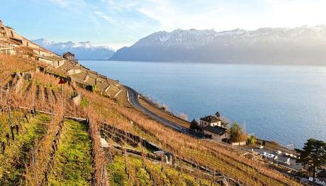 9 Cool Things To Do In Lausanne For An Extraordinary Swiss Holiday 9 Cool Things To Do In Lausanne For An Extraordinary Swiss Holiday
