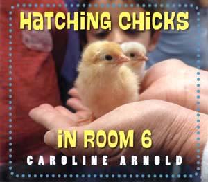LITLINKS GUEST POST: Kids See Chicks Hatch With Their Own Eyes