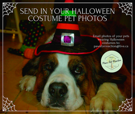 October featured pets: Send in a photo of your pet wearing a Halloween costume to be featured on Paws For Reaction