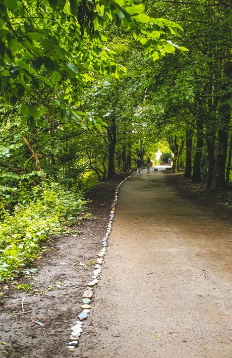 Project 366 Week 41 – A Much Better Week