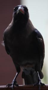 POEM: Sunday Morning Sounds