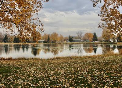 Trees Turning, Trees Burning