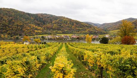 Austria In May Guide To Spend Amazing Evenings Around Renaissance
