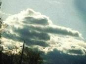 Craziest Suits Ever Filed Courts