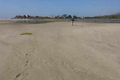 MALIBU LAGOON STATE BEACH, CA: A Walk to the Beach, by Caroline Arnold at The Intrepid Tourist