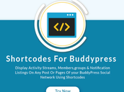 WordPress Shortcode Plugins