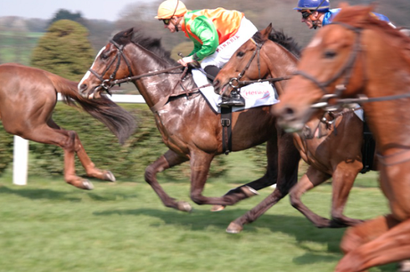 How Is Technology Changing Horse Racing?