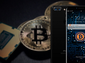 Ultimate Guide About Bitcoin Wallets Beginners!