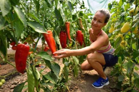 9 Different Types Of Garden For Your Beautiful Home 9 Different Types Of Garden For Your Beautiful Home