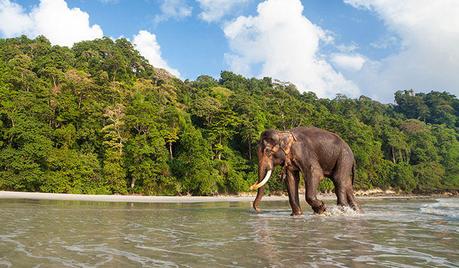 Which Destination Is More Blissful And Fun?