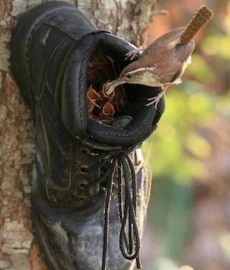 Ten Amazing Bird Houses All Made From Upcycling and Recycling