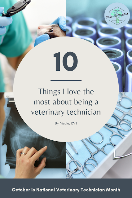 Happy National Veterinary Technician Week: 10 best things about being a vet tech