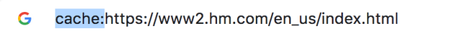 How to View Cached Pages