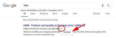 How to View Cached Pages