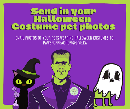 Looking for spooky pets in Halloween costumes to be featured