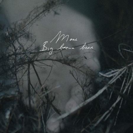 Mone: Big Brown Bear