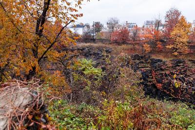 Friday Fotos: Autumn in the Arches