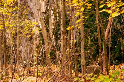 Friday Fotos: Autumn in the Arches