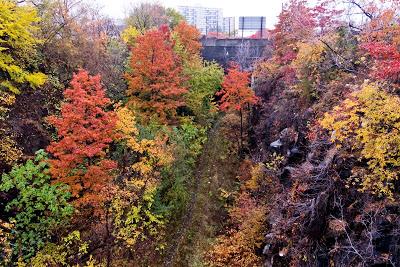 Friday Fotos: Autumn in the Arches