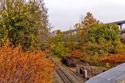 Friday Fotos: Autumn in the Arches