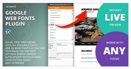 Best Web Fonts Manager WordPress Plugins