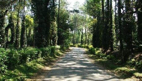 12 Places To Visit In Coorg In June In 2020 For All Nature Buffs!