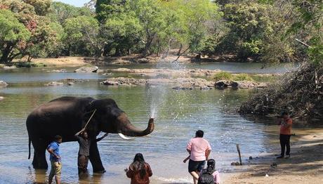 12 Places To Visit In Coorg In June In 2020 For All Nature Buffs!