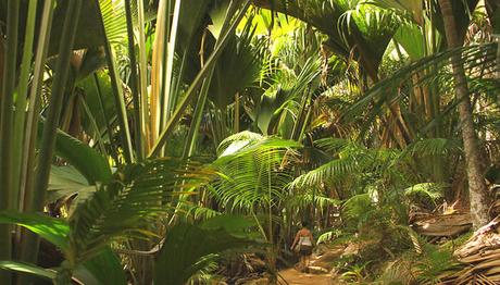 An Amazing Month For Your Tropical Vacay