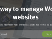 WordPress Management Tools Manage Multiple Sites