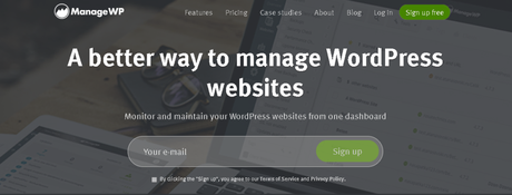 WordPress Management Tools