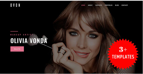 Influencer WordPress Themes