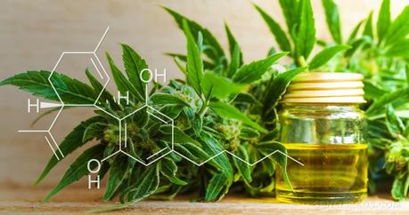 CBD Oil: 5 things moms should know about it