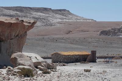 ANCIENT PETROGLYPHS IN THE ATACAMA DESERT OF CHILE, by Caroline Arnold at The Intrepid Tourist