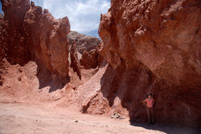 ANCIENT PETROGLYPHS IN THE ATACAMA DESERT OF CHILE, by Caroline Arnold at The Intrepid Tourist