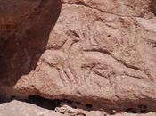 ANCIENT PETROGLYPHS ATACAMA DESERT CHILE, Caroline Arnold Intrepid Tourist