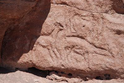 ANCIENT PETROGLYPHS IN THE ATACAMA DESERT OF CHILE, by Caroline Arnold at The Intrepid Tourist