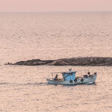 Human presence Human presence