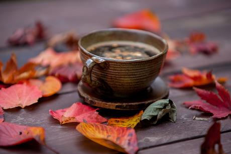 Autumn Flavors: 7 Perfect Tea Flavors to Welcome the Autumn Season
