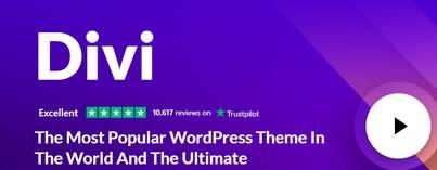 divi theme 