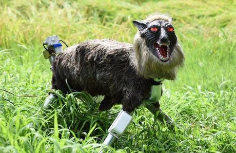 Monster Wolf robot with glowing eyes protects Japanese town from bears