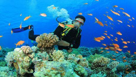 Snorkeling Vs Scuba Diving: Pick Your Preferred One! Snorkeling Vs Scuba Diving: Pick Your Preferred One!