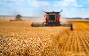 A greener, fairer, and more robust EU farm policy | News | European Parliament