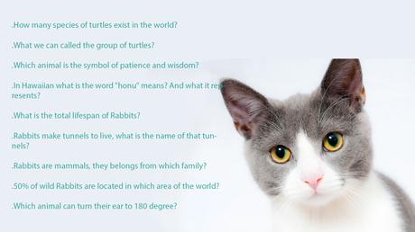Hard trivia questions about animals