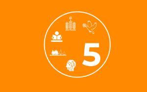 Plenary highlights: Sakharov laureate, EU farm policy, digital services, Brexit | News | European Parliament