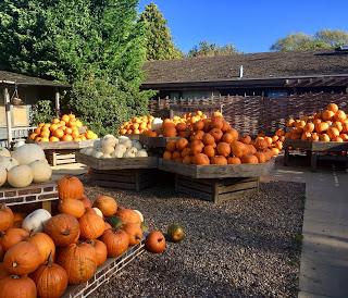 A different kind of autumn feel! A different kind of autumn feel!
