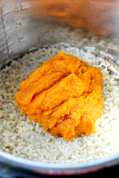 Instant Pot Vegan Pumpkin Rice Pudding